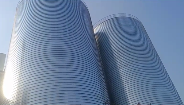 九龙2座混凝土高架卷板仓